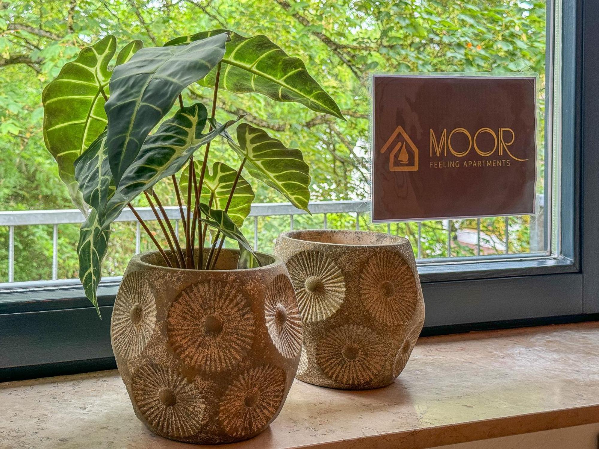 Moor Feeling Apartments Worpswede Exterior foto